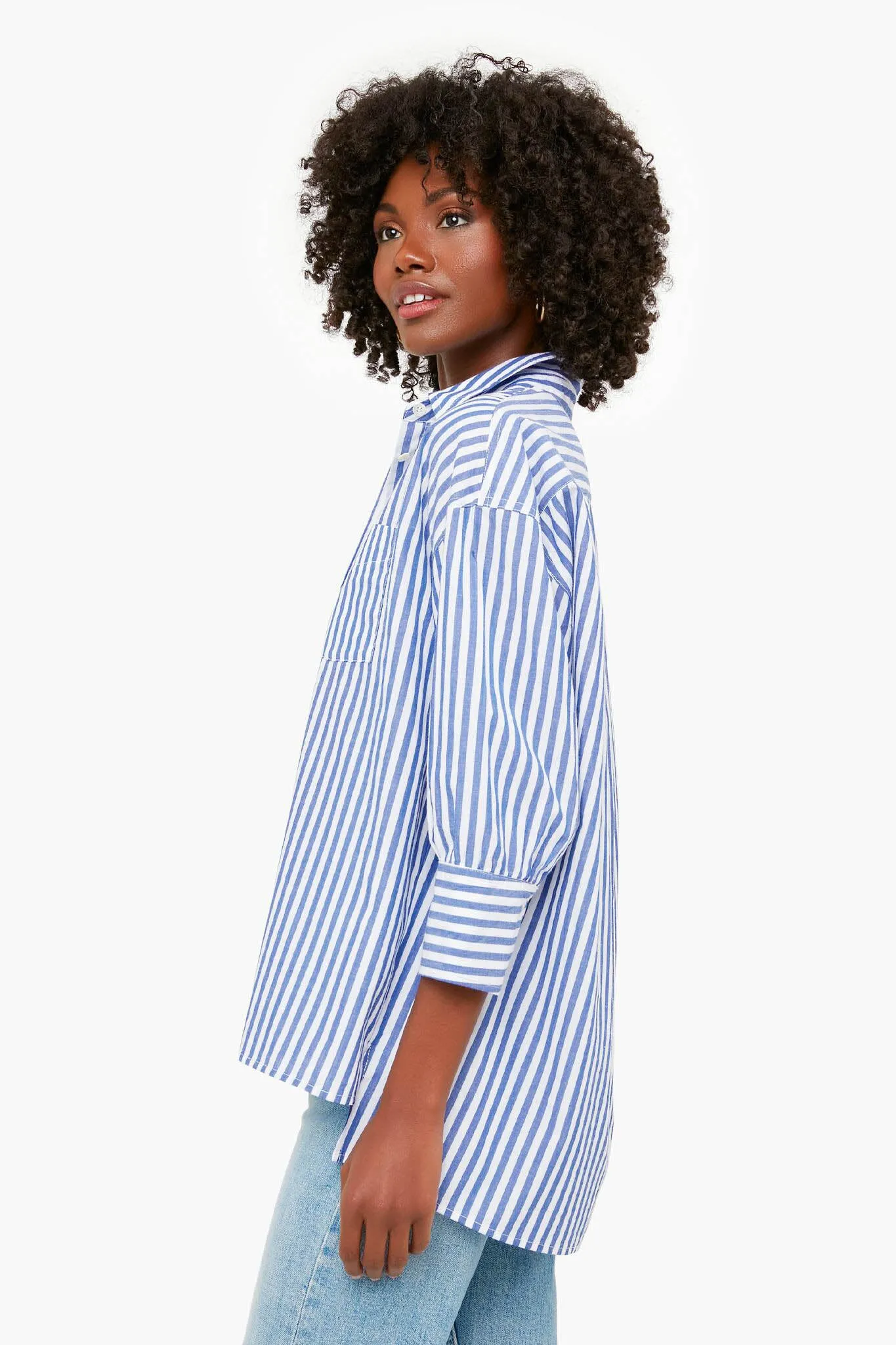 Denim Stripe Adair Boyfriend Shirt