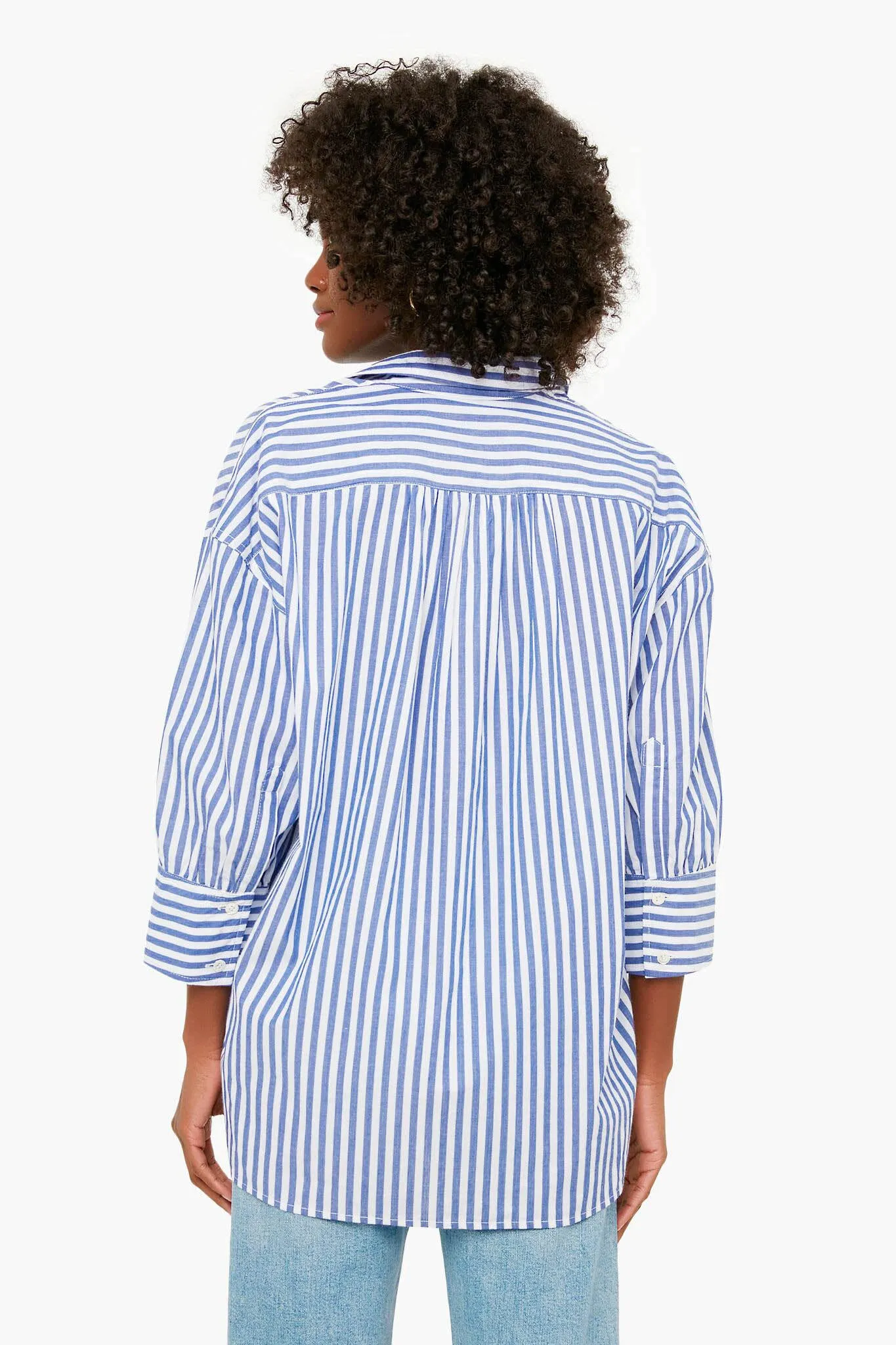 Denim Stripe Adair Boyfriend Shirt